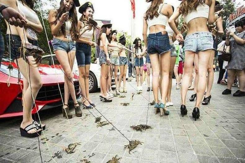 Gewoon een verzameling hilarische foto's #841