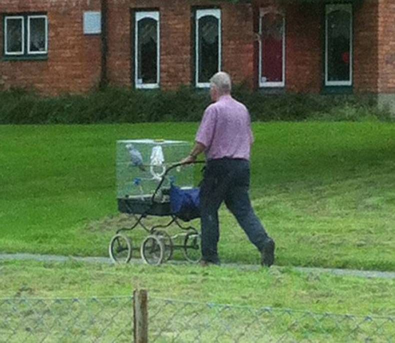 Gewoon een verzameling hilarische foto's #733