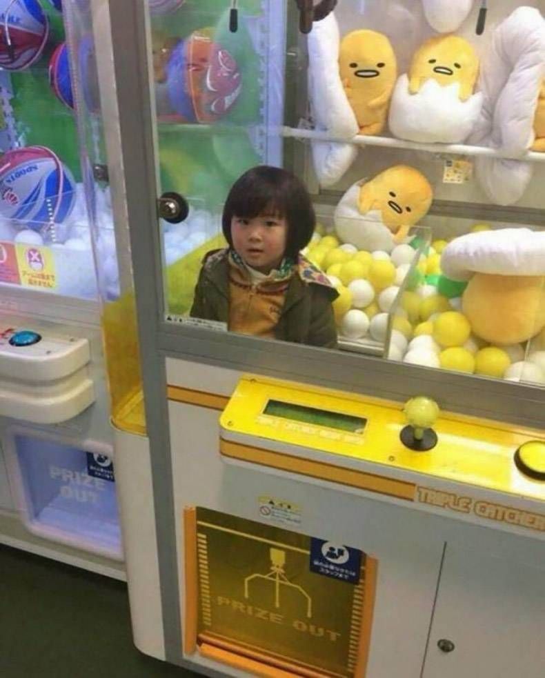 Gewoon een verzameling hilarische foto's #1306