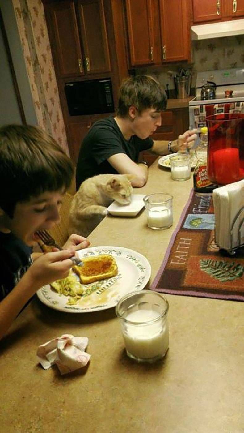 Gewoon een verzameling hilarische foto's #1004