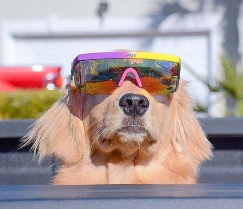 Gewoon een verzameling hilarische foto's #788