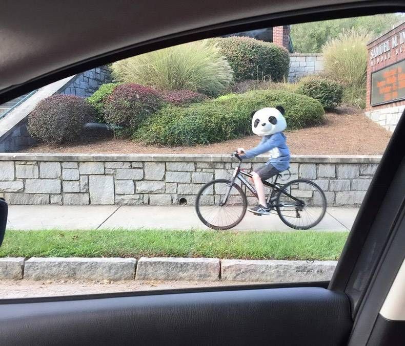 Gewoon een verzameling hilarische foto's #1305