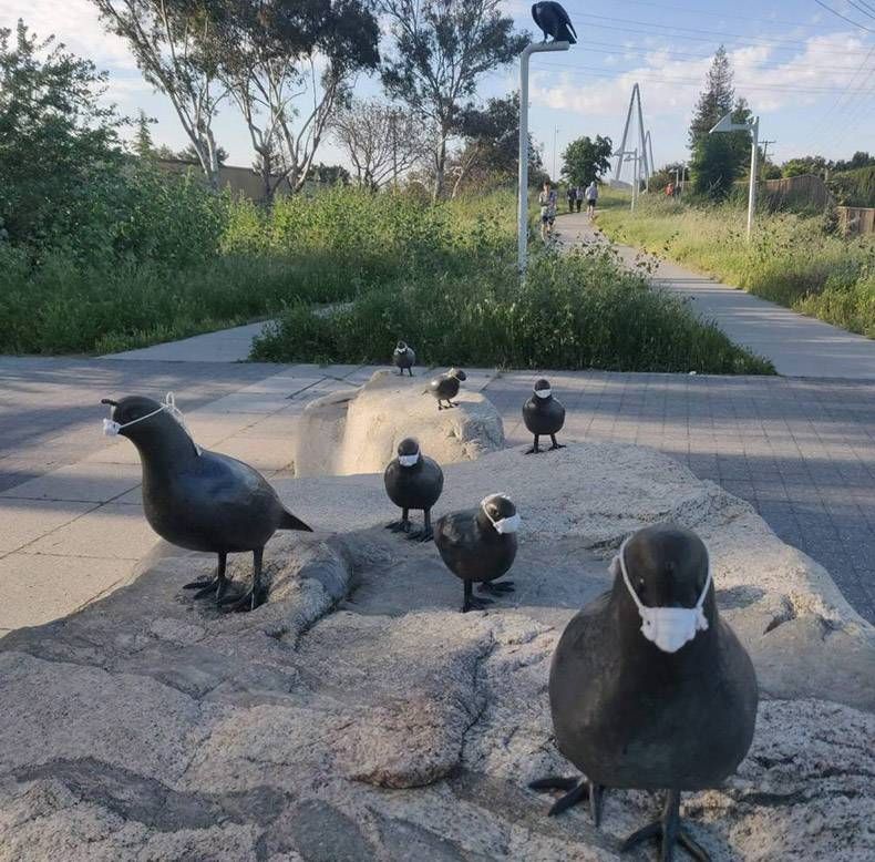 Gewoon een verzameling hilarische foto’s #1275