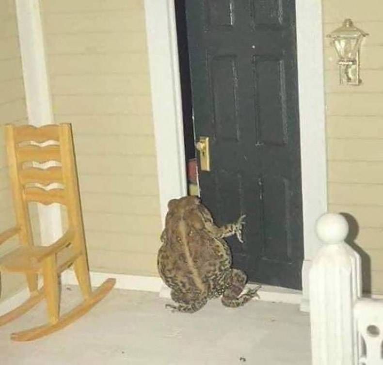 Gewoon een verzameling hilarische foto’s #1227