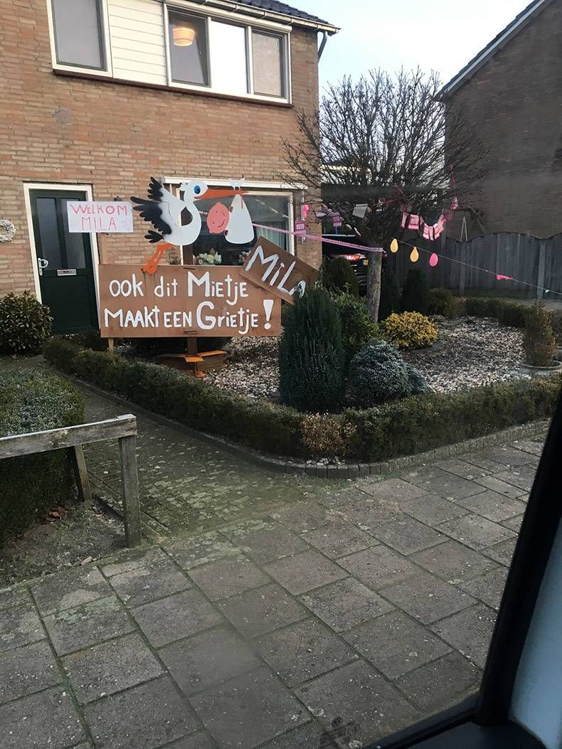 Gewoon een verzameling hilarische foto's #1081