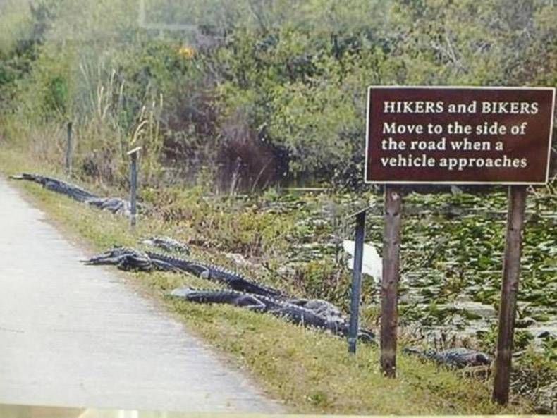 Gewoon een verzameling hilarische foto's #938