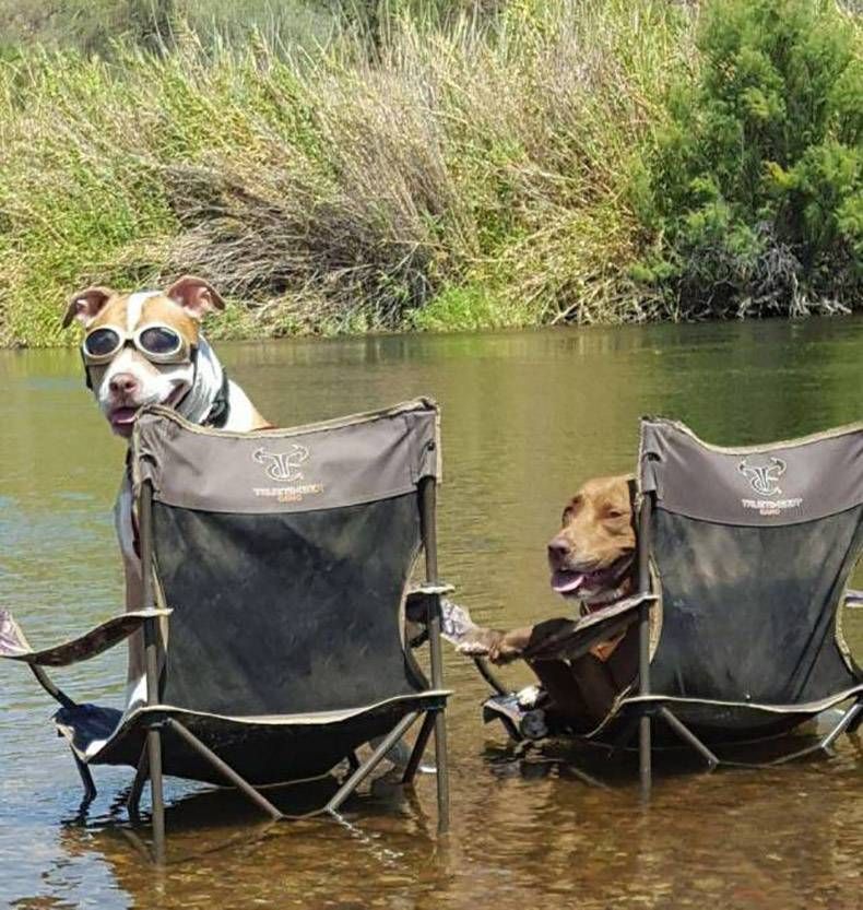 Gewoon een verzameling hilarische foto's #881