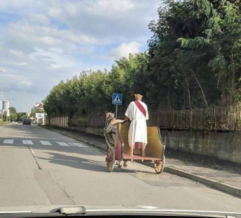 Gewoon een verzameling hilarische foto's #1005