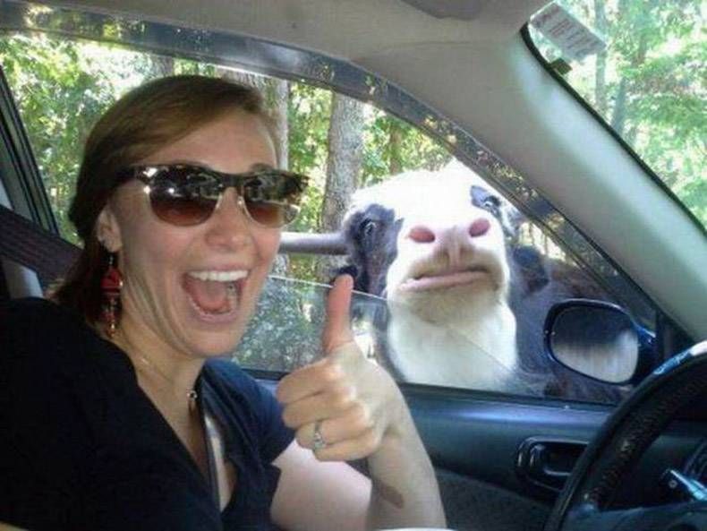 Gewoon een verzameling hilarische foto's #777