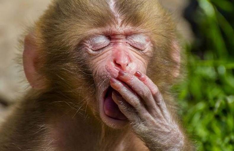 Gewoon een verzameling hilarische foto's #736