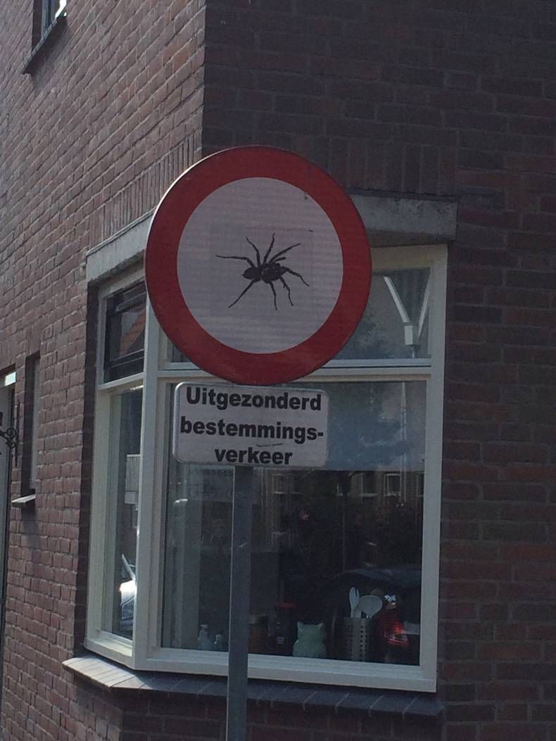 Gewoon een verzameling hilarische foto's #715