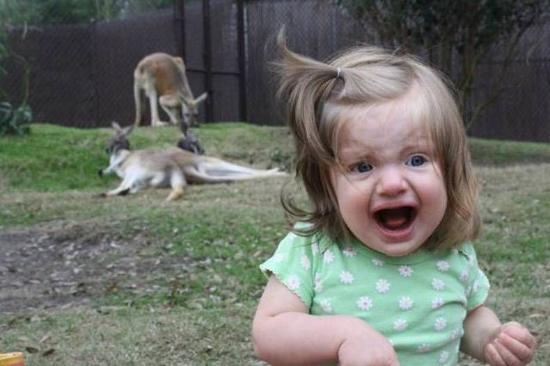 Gewoon een verzameling hilarische foto's #845