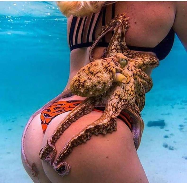 Gewoon een verzameling hilarische foto’s #780