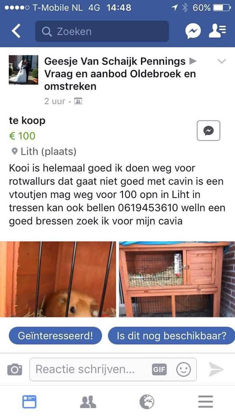 Gewoon een verzameling hilarische foto's #840