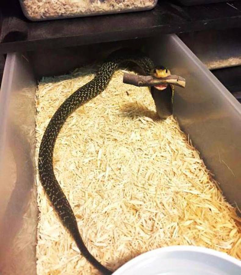Gewoon een verzameling hilarische foto's #725