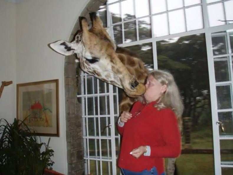 Gewoon een verzameling hilarische foto's #1360