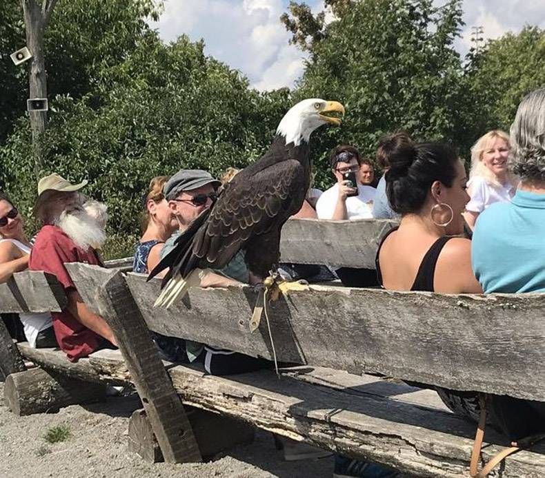 Gewoon een verzameling hilarische foto's #1007