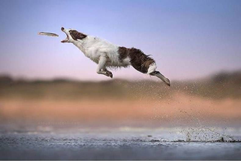 Gewoon een verzameling hilarische foto's #900