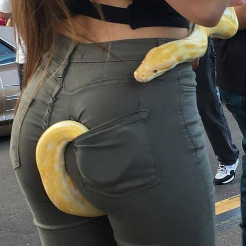 Gewoon een verzameling hilarische foto's #857