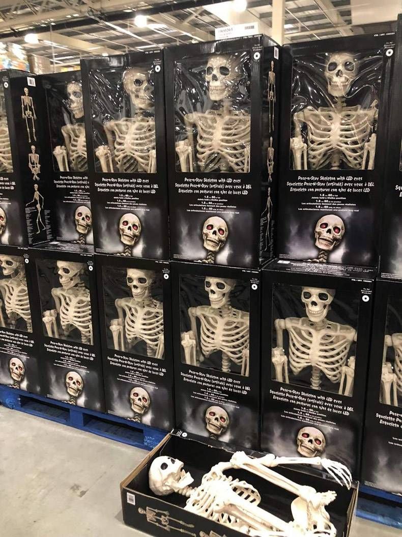 Gewoon een verzameling hilarische foto's #1032