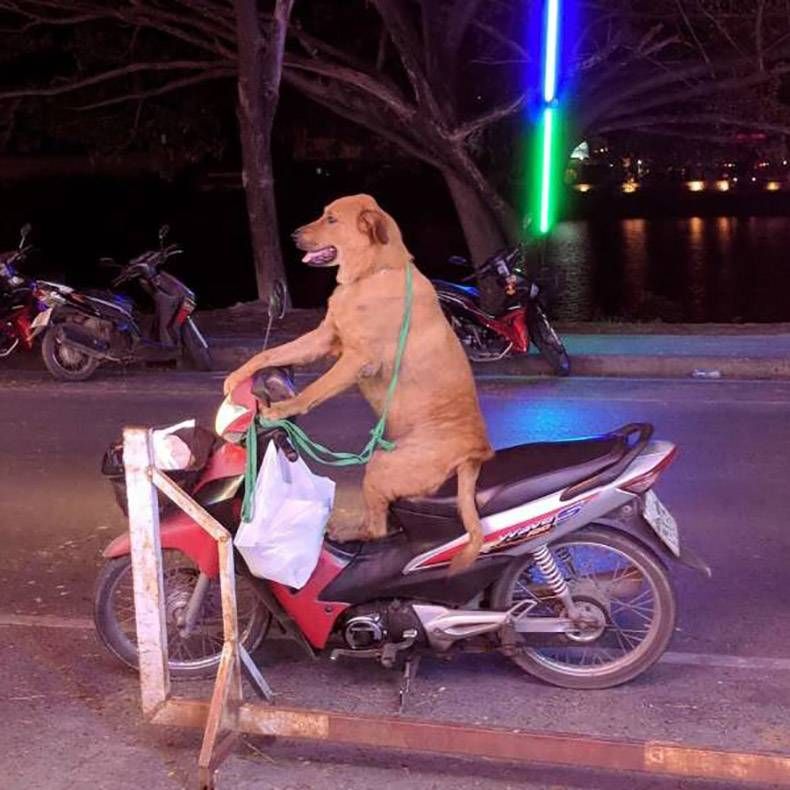 Gewoon een verzameling hilarische foto's #985