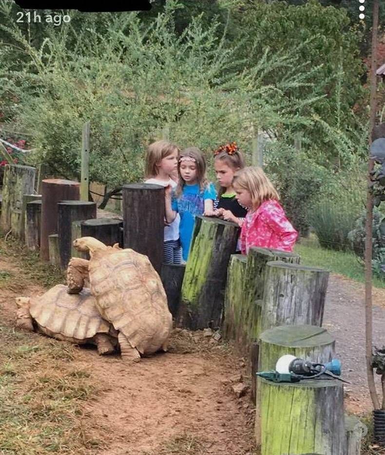 Gewoon een verzameling hilarische foto's #1197