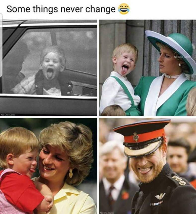Gewoon een verzameling hilarische foto's #974