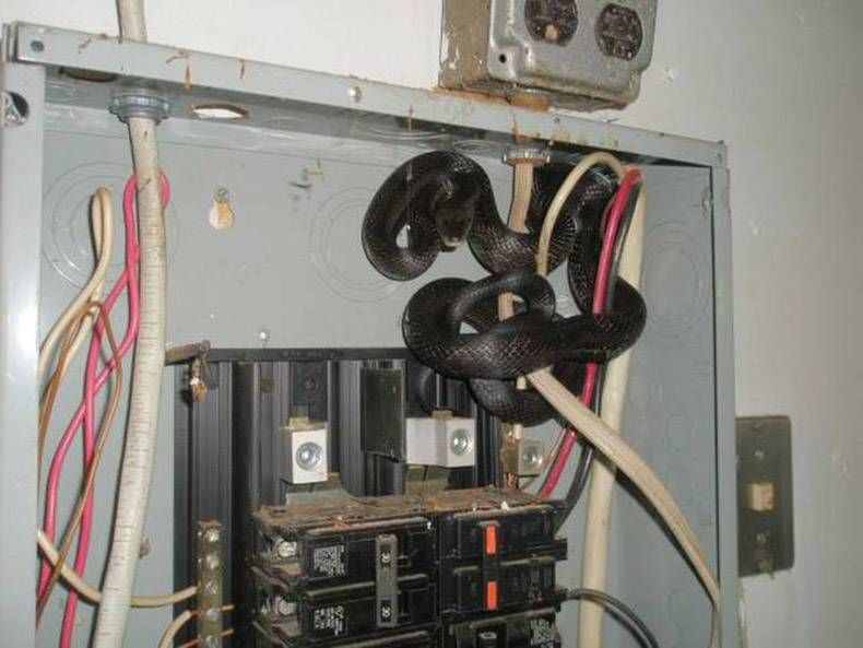 Gewoon een verzameling hilarische foto's #940