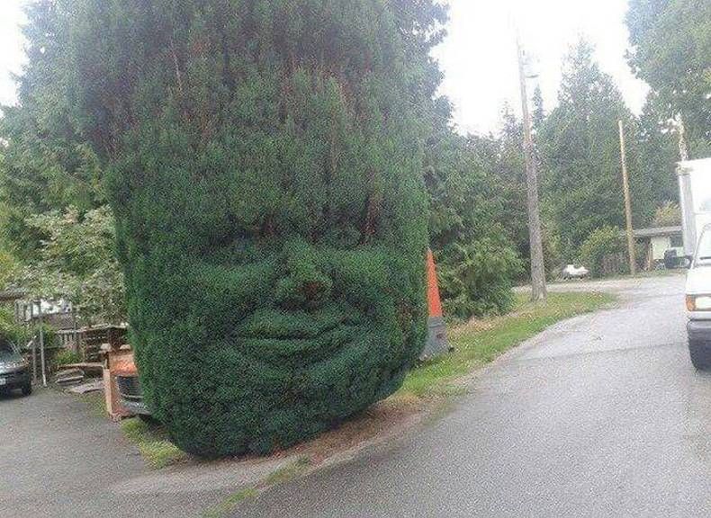 Gewoon een verzameling hilarische foto's #737