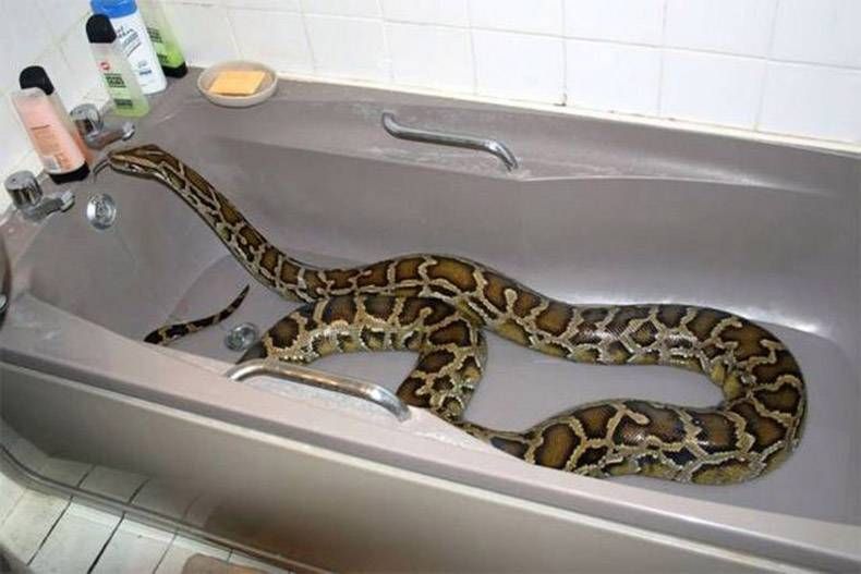 Gewoon een verzameling hilarische foto's #806