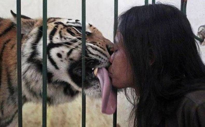 Gewoon een verzameling hilarische foto’s #790