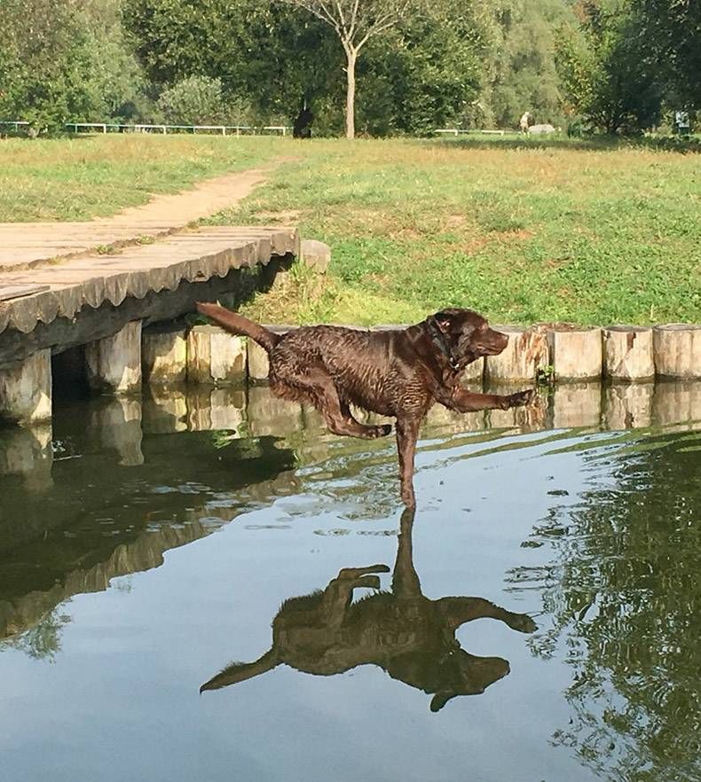 Gewoon een verzameling hilarische foto's #1085