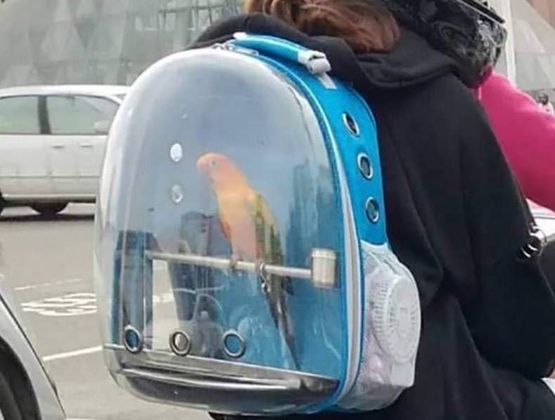 Gewoon een verzameling hilarische foto's #1075