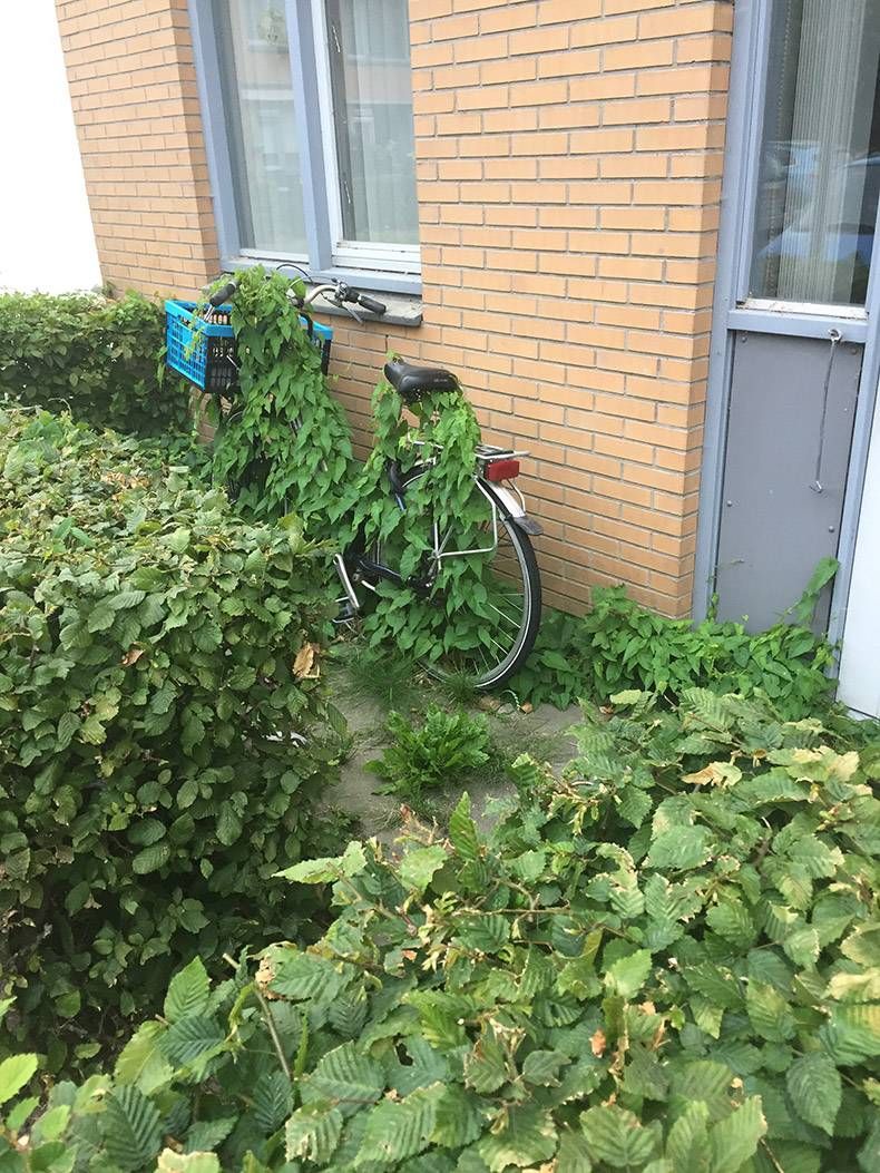 Gewoon een verzameling hilarische foto's #995