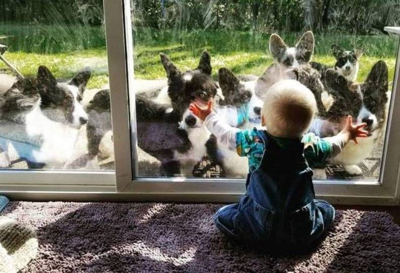 Gewoon een verzameling hilarische foto's #879