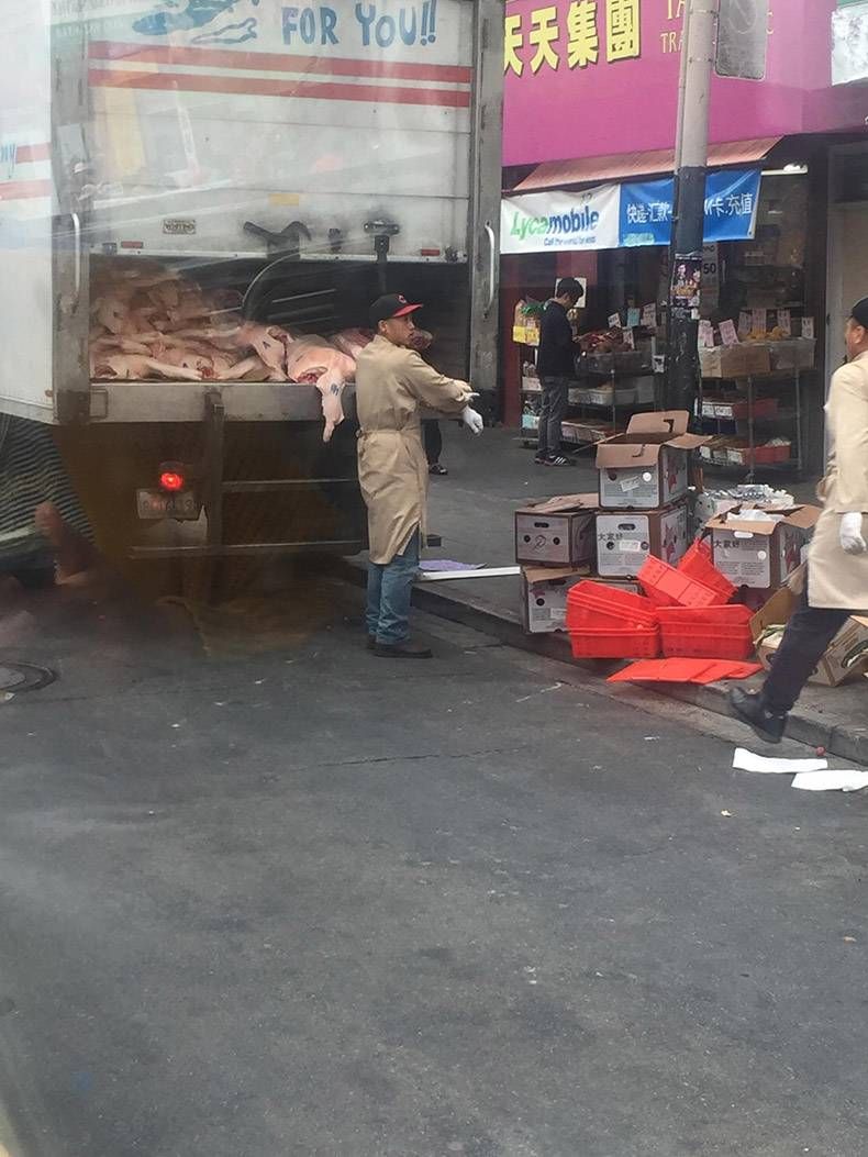 Gewoon een verzameling hilarische foto's #849