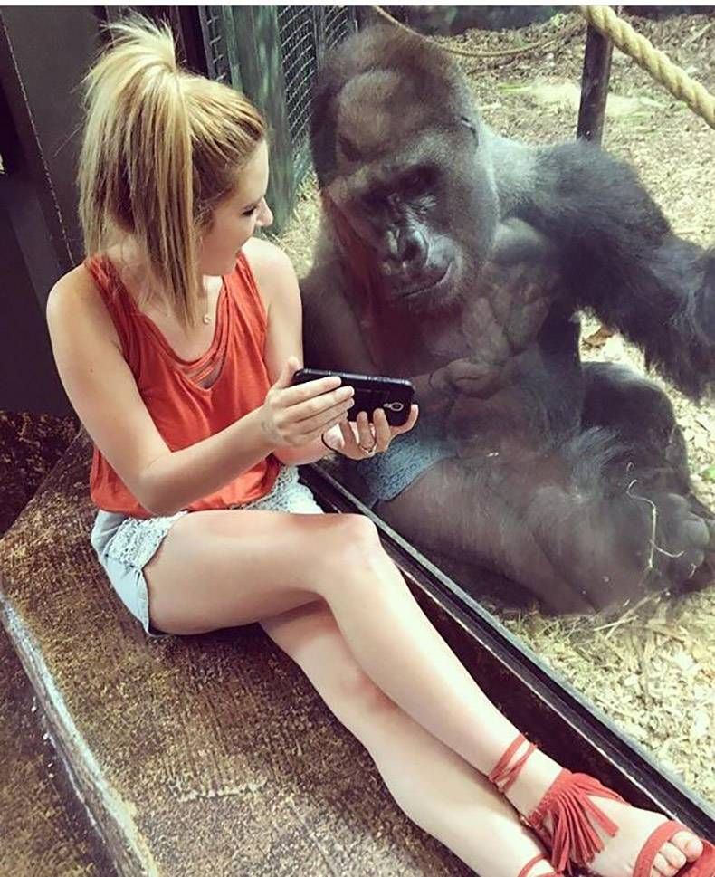 Gewoon een verzameling hilarische foto's #834