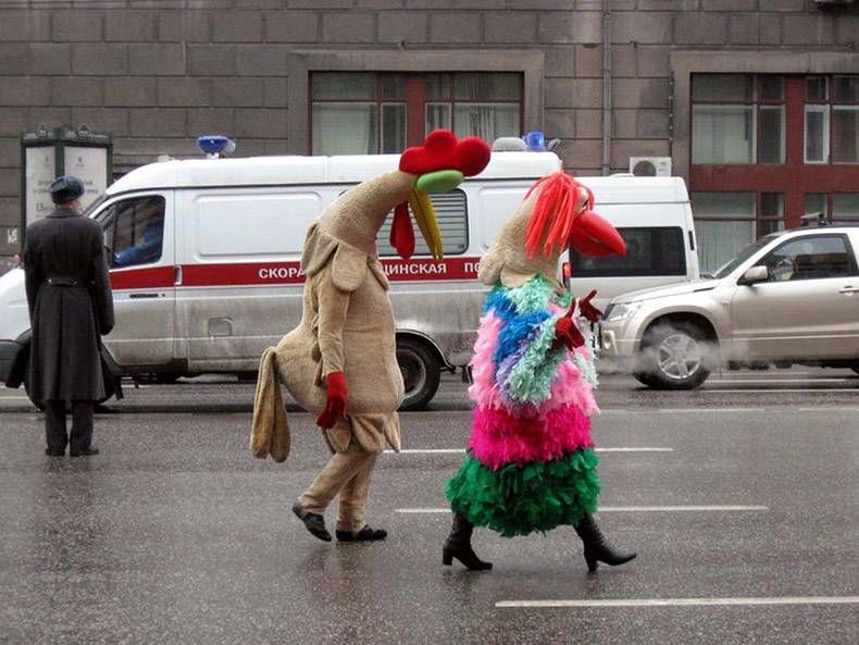 Gewoon een verzameling hilarische foto's #826