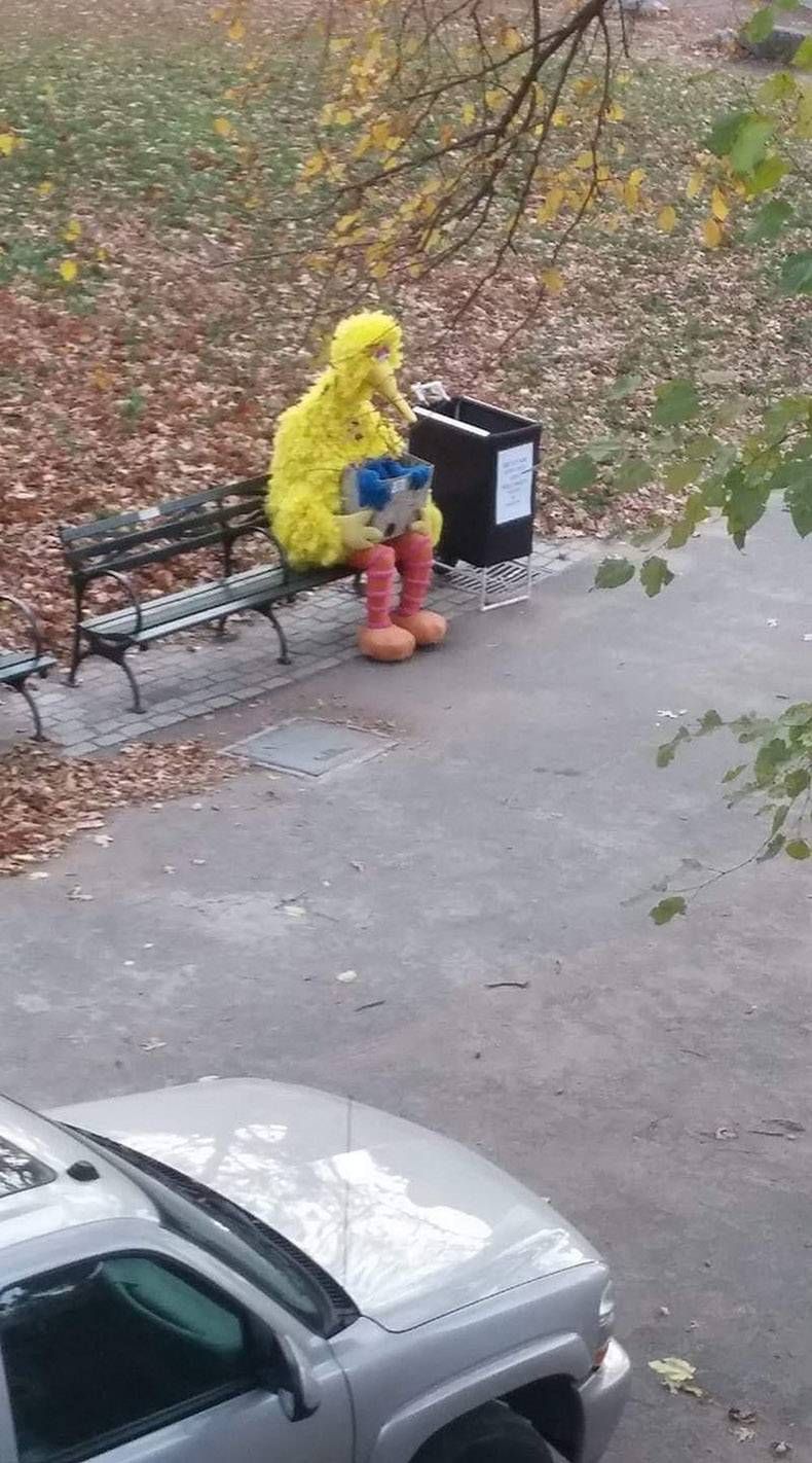 Gewoon een verzameling hilarische foto's #1340