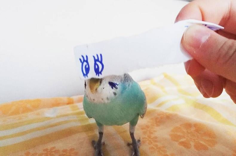 Gewoon een verzameling hilarische foto’s #1230