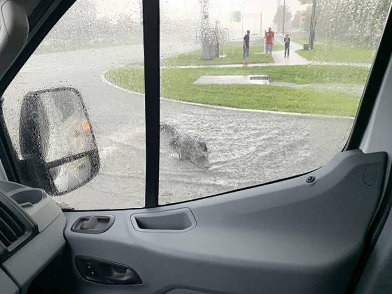 Gewoon een verzameling hilarische foto's #1169