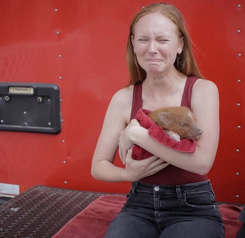 Gewoon een verzameling hilarische foto's #982