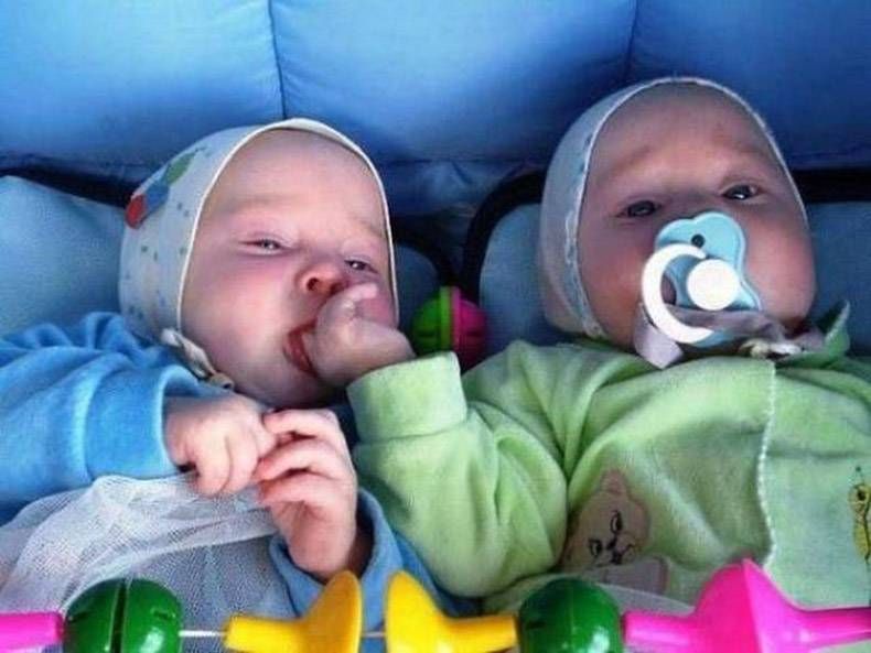 Gewoon een verzameling hilarische foto’s #809