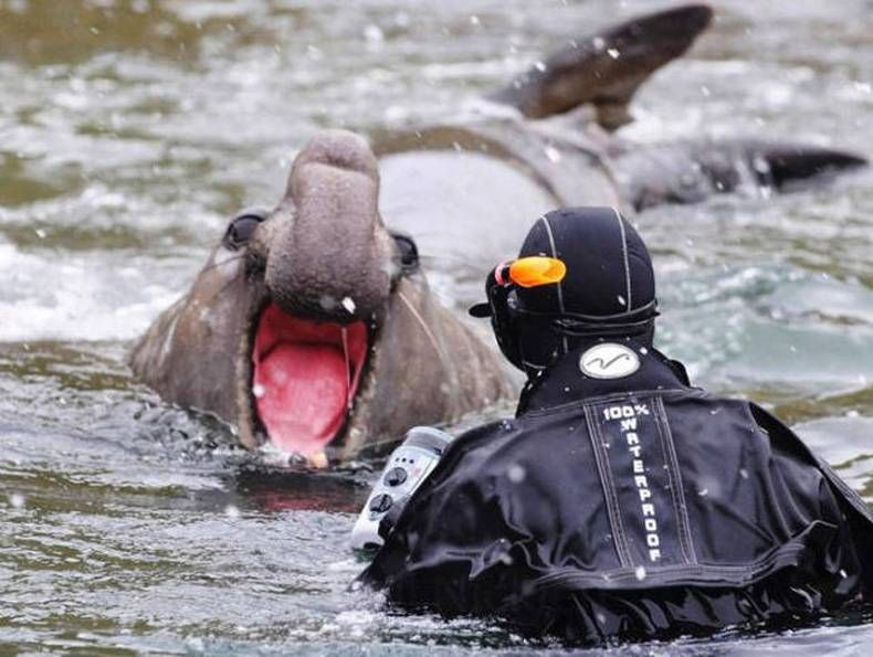 Gewoon een verzameling hilarische foto's #735