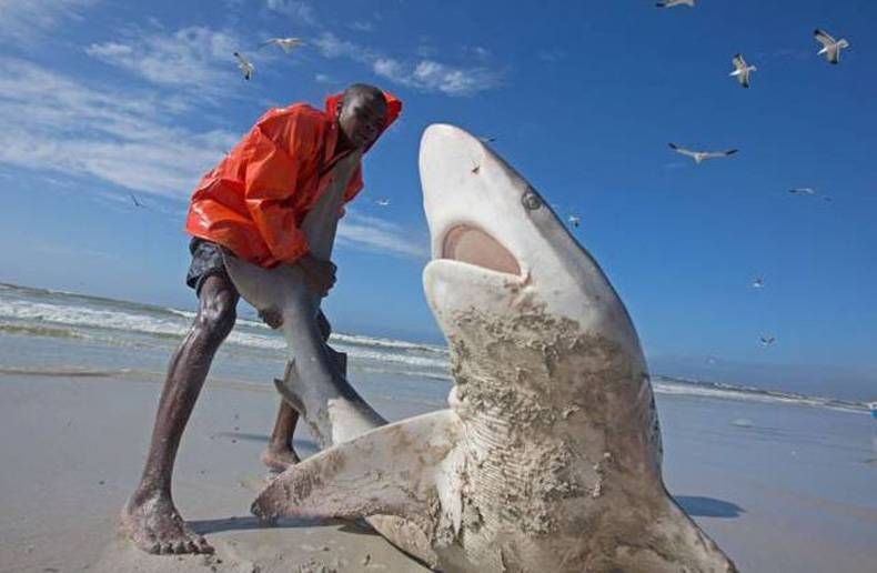 Gewoon een verzameling hilarische foto's #724