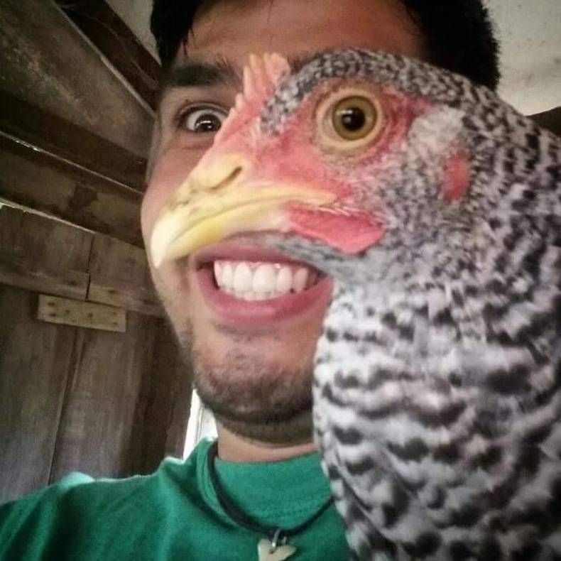 Gewoon een verzameling hilarische foto's #701
