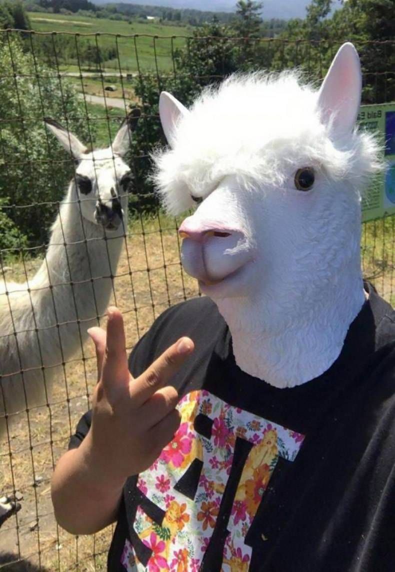 Gewoon een verzameling hilarische foto's #1226