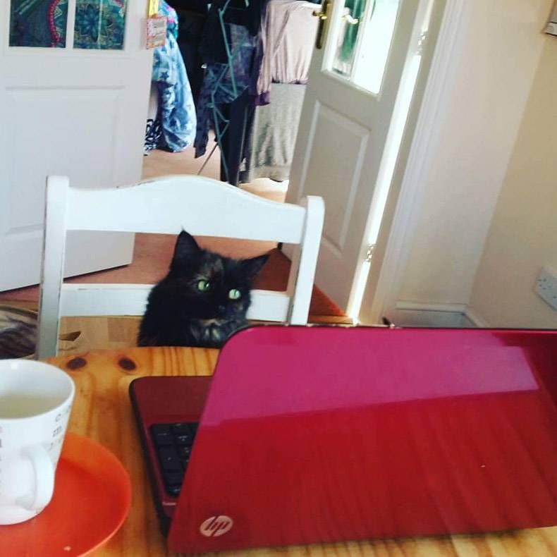 Gewoon een verzameling hilarische foto's #1191