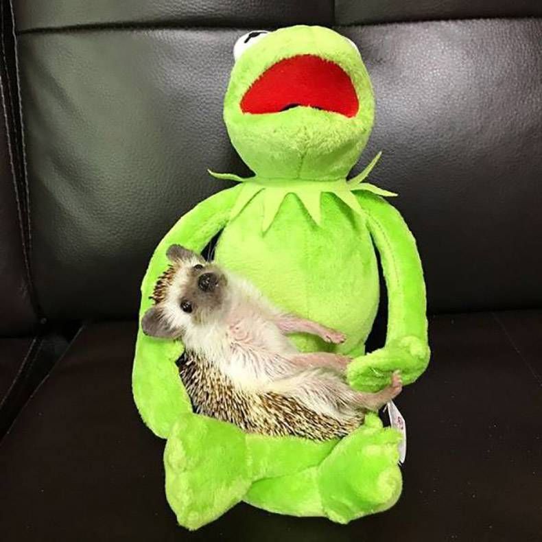 Gewoon een verzameling hilarische foto's #900