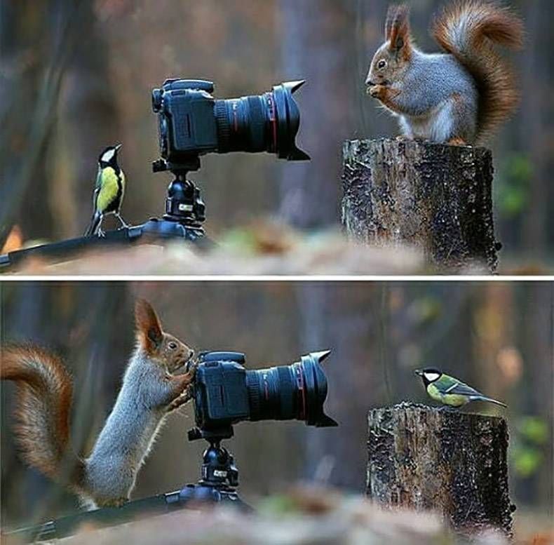 Gewoon een verzameling hilarische foto's #892